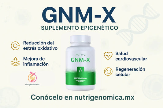 gnm x