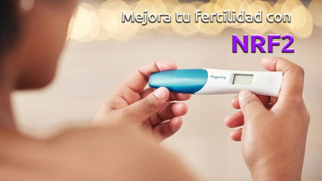 fertilidad